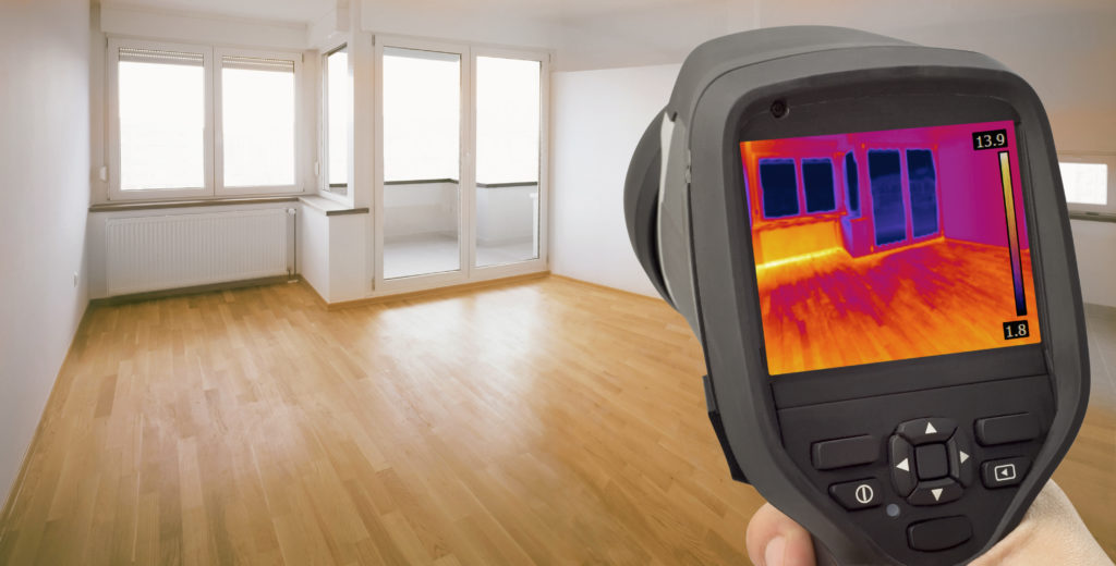 leak detection using infrared in an empty home